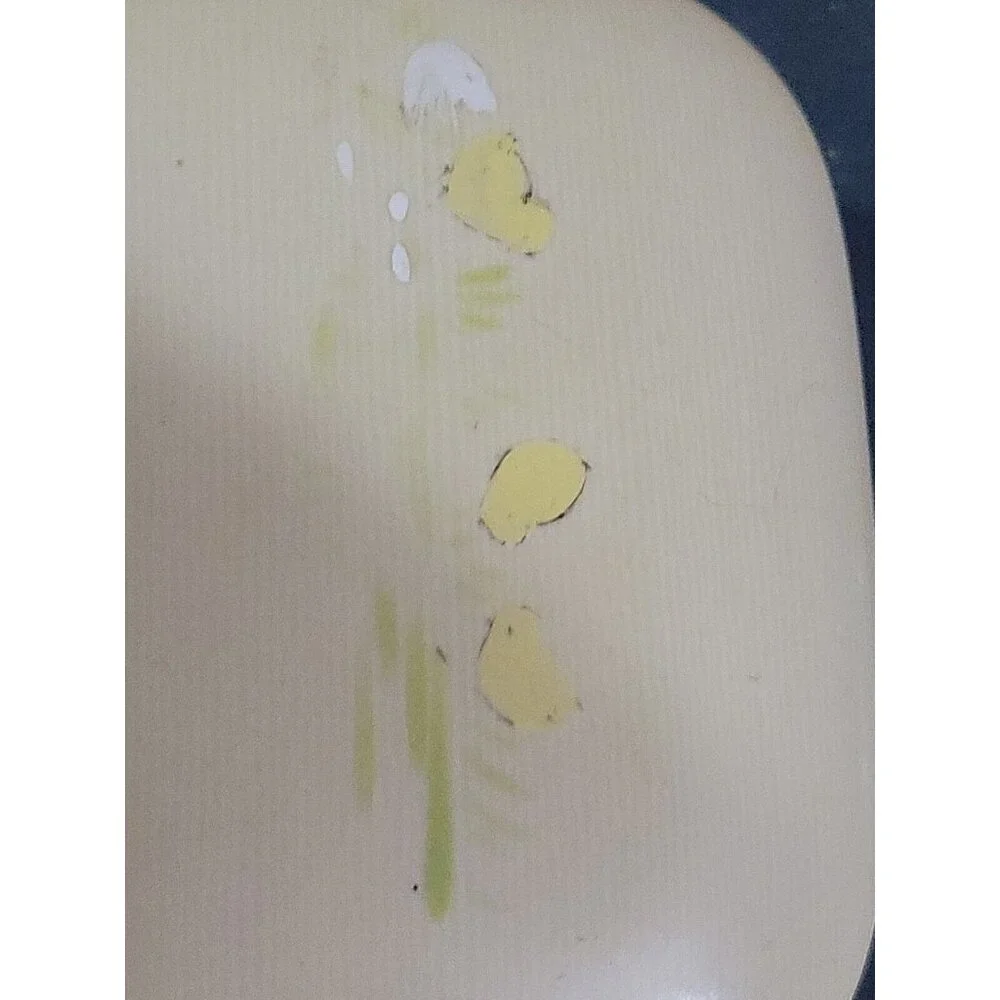 Vintage 1930s celluloid travel soap bar holder childs soap holder painted chicks